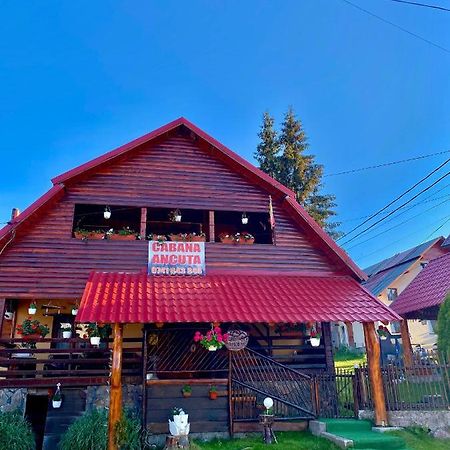 Hotel Cabana Ancuta Vartop Exteriér fotografie