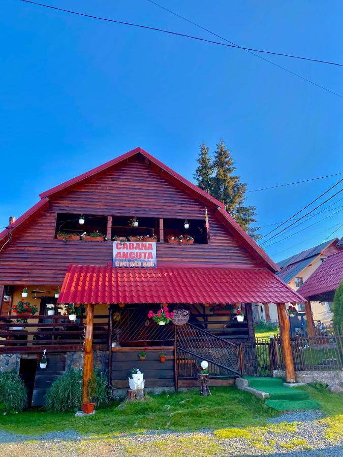 Hotel Cabana Ancuta Vartop Exteriér fotografie